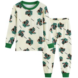 FEDPOP Toddler Boys Dinosaur Pajamas Kids Long Sleeve Snug-Fit Clothes Pjs Set