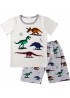 Little Hand Boys Short Sleeve Dinosaur Toddler 100% Cotton Pajamas Sets 2t-7t